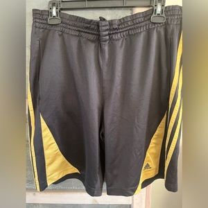 Nike, Adidas Mens gym shorts. Used but in good condition.